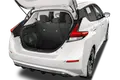 trunk