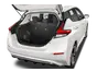trunk