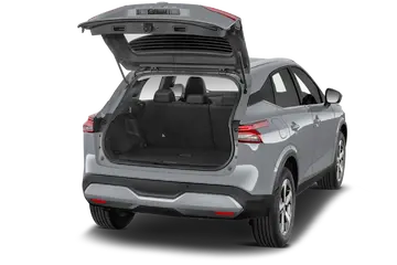 trunk