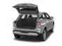 trunk