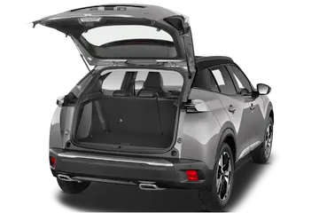 trunk