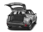 trunk