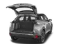 trunk