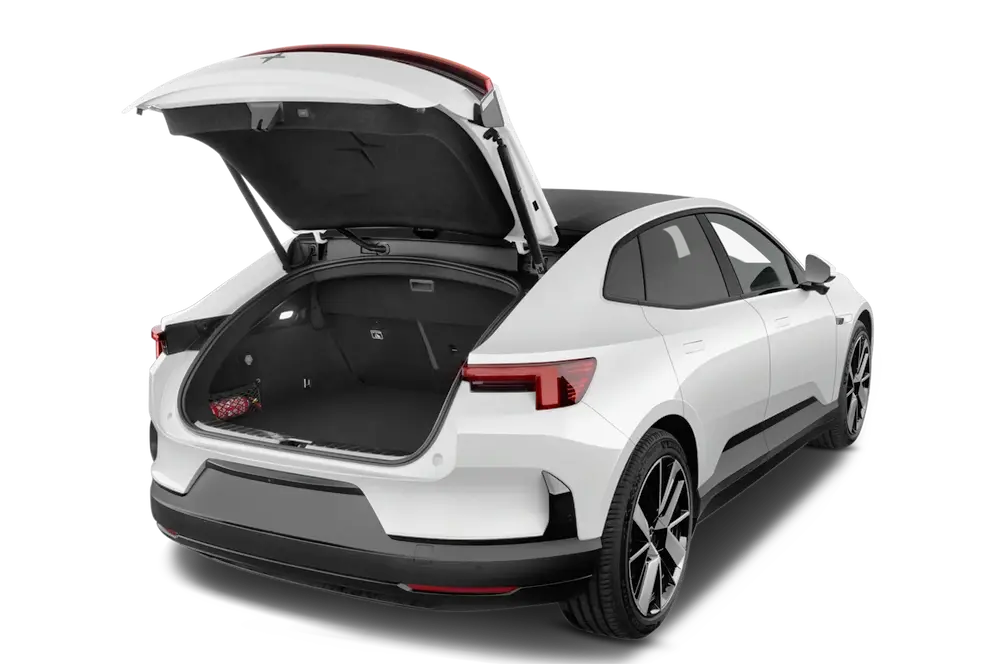 trunk