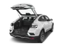 trunk