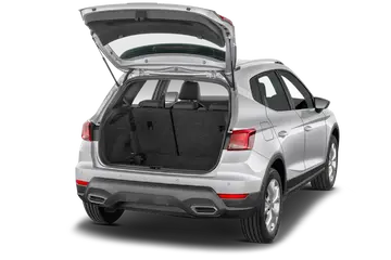 trunk