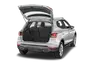 trunk