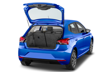 trunk