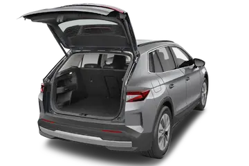 trunk
