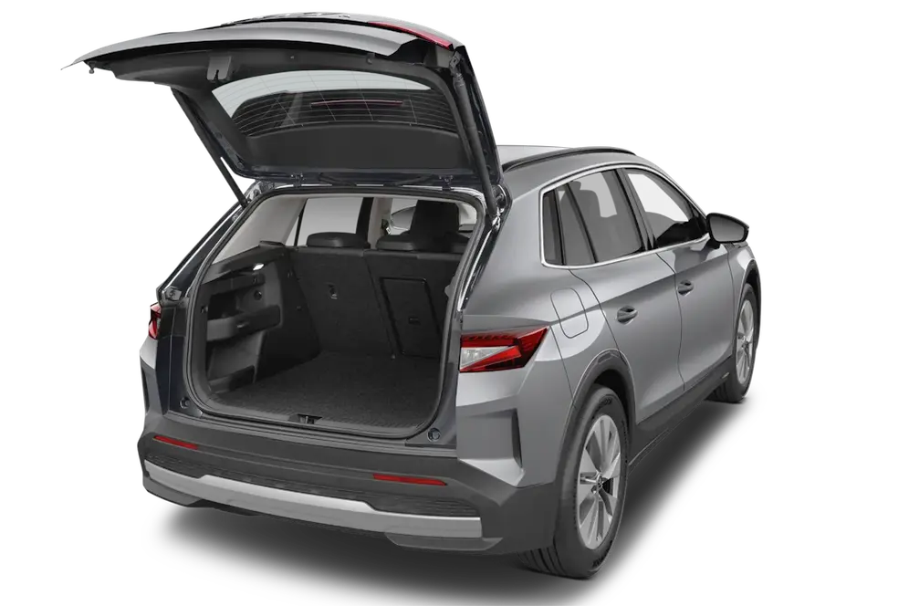 trunk