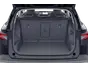 trunk