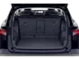 trunk