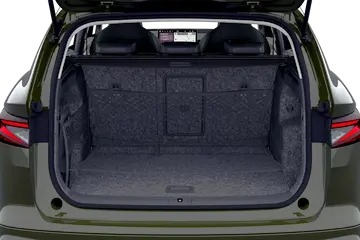 trunk