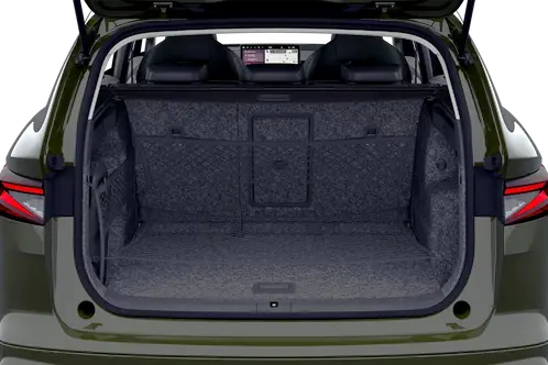 trunk