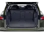 trunk