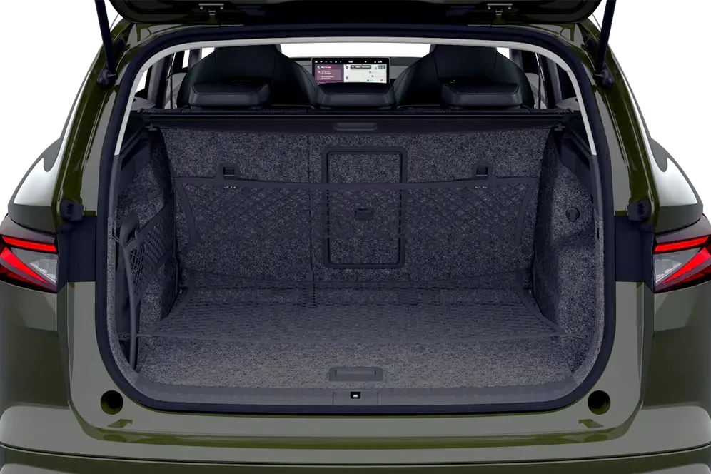 trunk