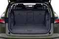 trunk