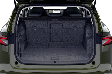 trunk