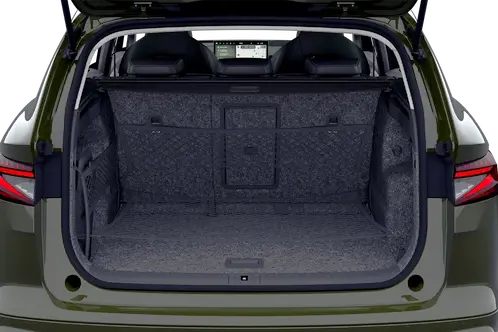 trunk