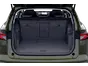 trunk