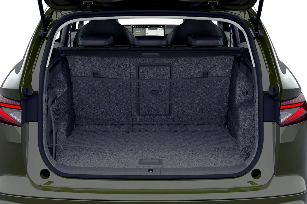 trunk