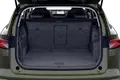trunk