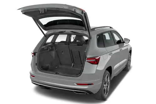 trunk