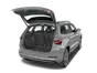 trunk