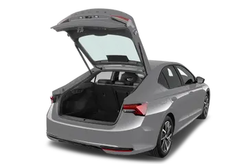 trunk