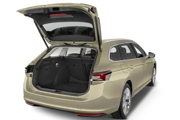 trunk