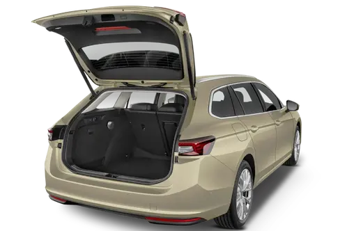 trunk