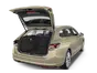trunk