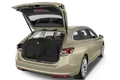 trunk