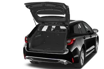 trunk