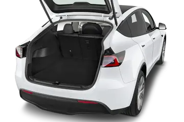 trunk