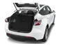 trunk