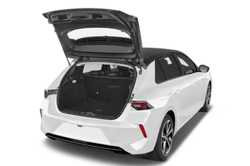 trunk