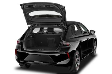 trunk