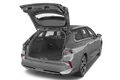 trunk