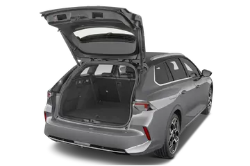 trunk