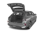 trunk