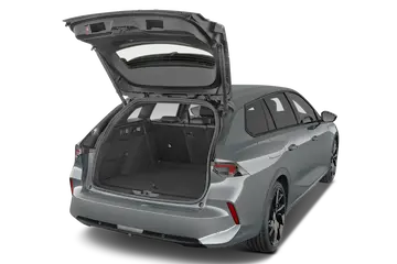 trunk