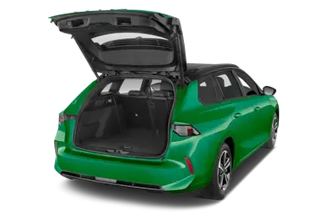 trunk