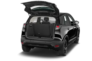 trunk