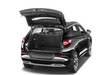 trunk