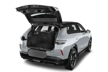 trunk