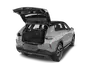 trunk