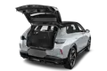 trunk