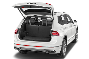 trunk