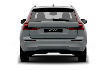 trunk